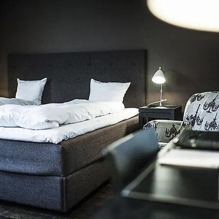 Hotel First Grand Odense